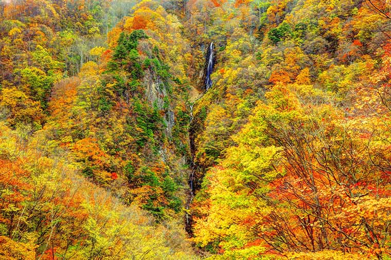 万座温泉雲上の絶景露天風呂と錦秋の志賀高原ルート＆松川渓谷／万座高原ホテル泊