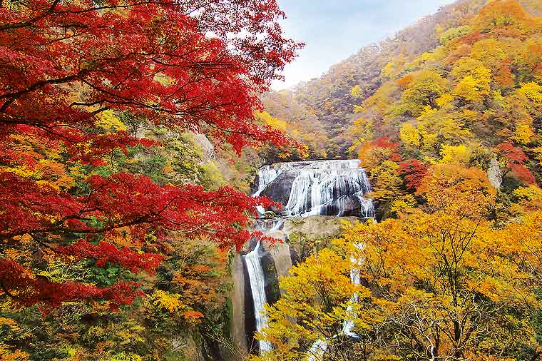 日帰りで行く！紅葉名瀑“袋田の滝”と奥久慈りんご狩り食べ放題