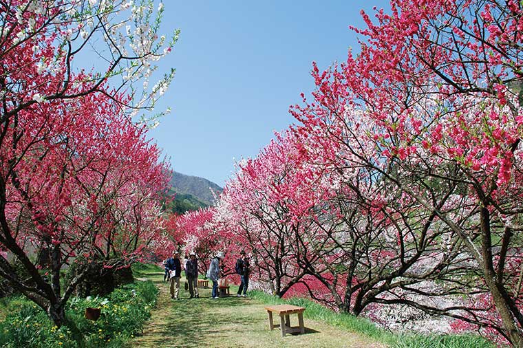 コース検索結果 はとバス