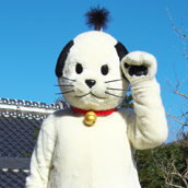 日光江戸村(にゃんまげ).png