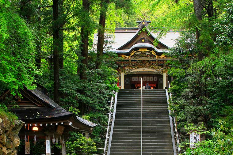秩父二社パワースポットめぐり！秩父神社×宝登山神社と秩父郷土料理