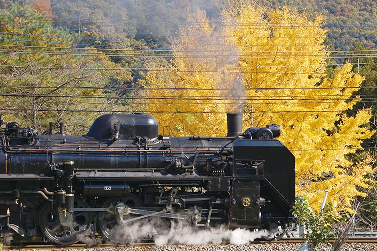 秩父鉄道SL列車＆長瀞ラインくだりと月の石もみじ公園の紅葉
