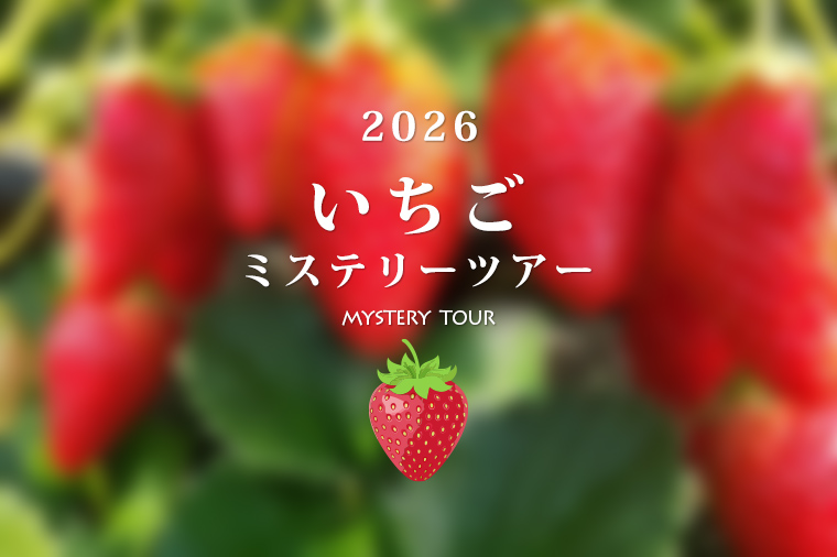 【トイレ付バス・レガートで行く】２０２６いちごミステリー