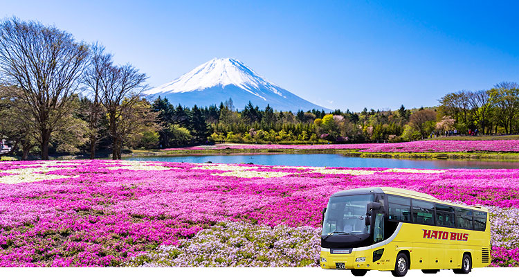 日帰りバスツアー・富士芝桜まつり