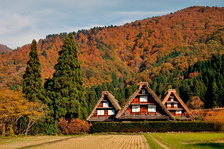 紅葉の立山黒部アルペンルートと世界遺産白川郷／京橋発（10月から）