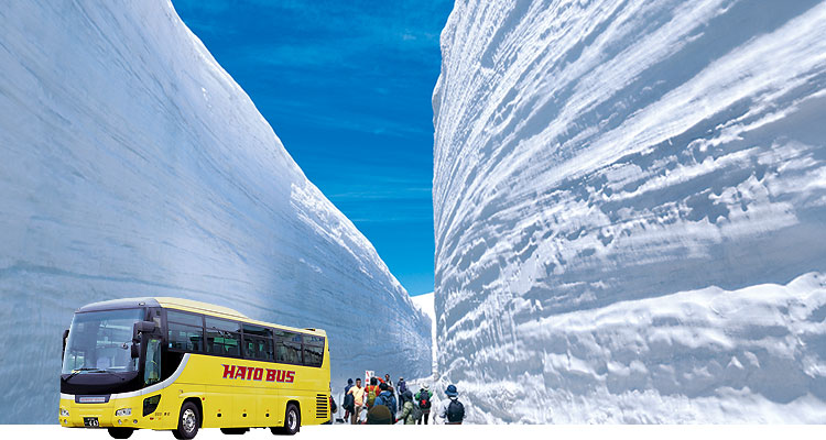 宿泊バスツアー（雪の大谷 ）