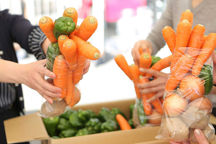 マスクメロン１玉お土産付♪山梨もも狩りと季節の野菜詰め放題
