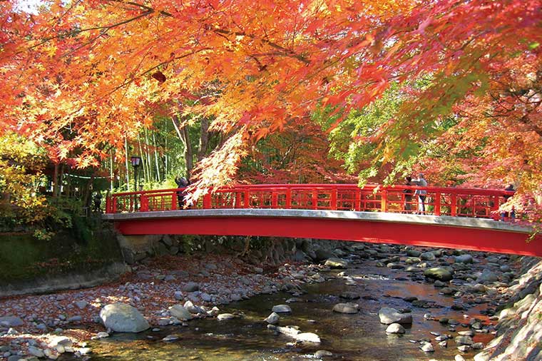 秋色の箱根・伊豆周遊と海辺のリゾート下田白浜温泉