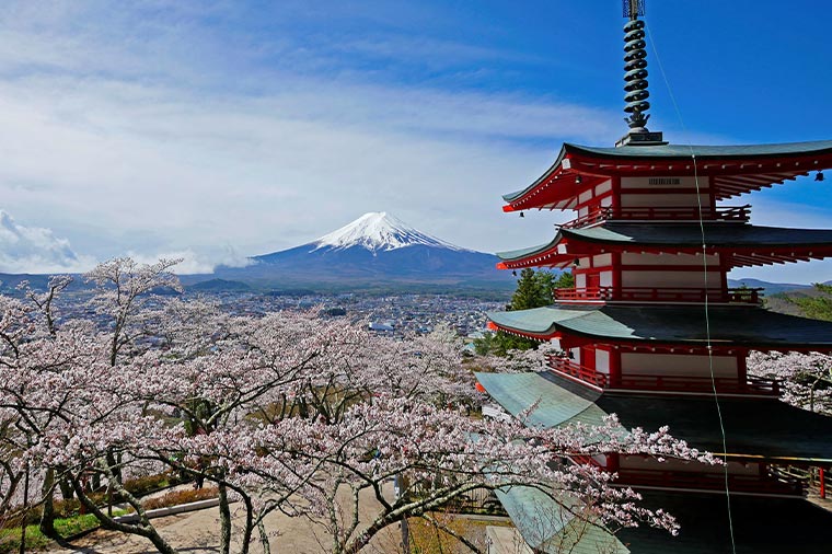富士の絶景“新倉山浅間公園”と山梨名物ほうとう・いちご狩り