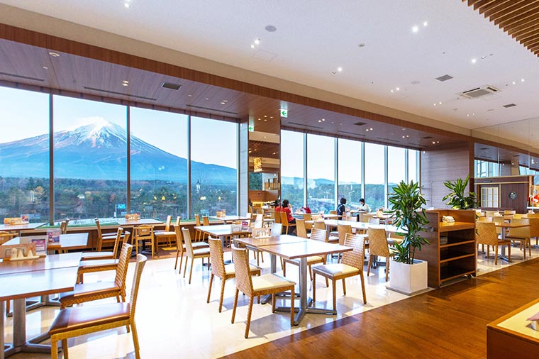【トイレ付バス・アストロメガで行く】富士山の特等席！フジヤマテラスランチビュッフェと山梨いちご狩り