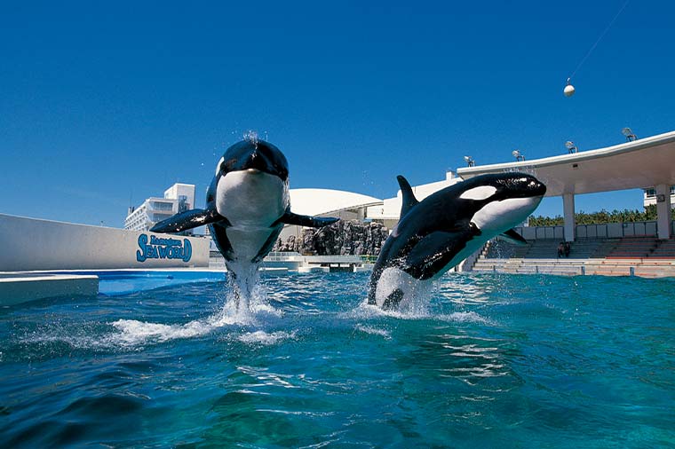 コース検索結果 はとバス 公式 コース検索結果 はとバス 公式