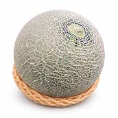 アンデスメロン(SS)//