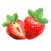 いちごイラスト・イチゴイラスト・いちご狩り(SS)//