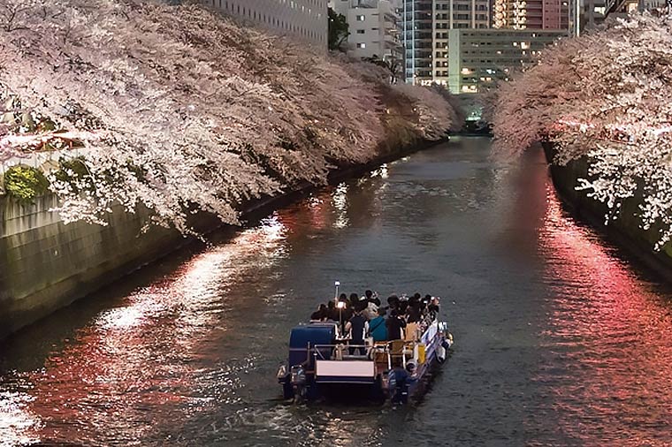 目黒川夜桜クルーズと世界のバイキング