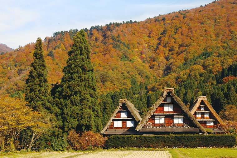 紅葉の立山黒部アルペンルートと世界遺産白川郷／10月から