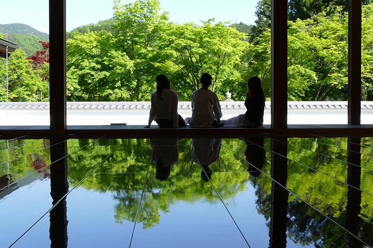 涼を感じる宝徳寺「夏の床もみじ」とあしかがフラワーパーク