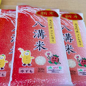 茂木町八溝米(お一人さま1パックプレゼント)小/