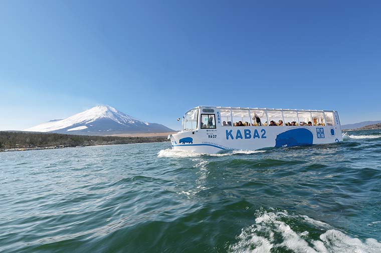 山中湖にダイブ！迫力の水陸両用カババスクルーズと地ビール飲み放題バイキング