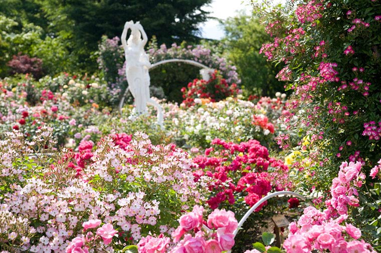 山梨さくらんぼ狩り＆松阪牛・米沢牛食べ比べと春の花咲くハーブ庭園