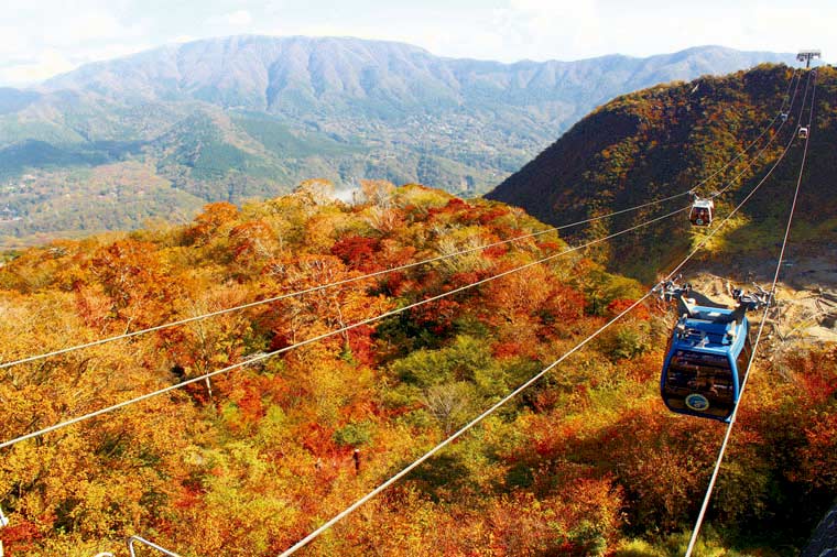 紅葉の箱根空中散歩！箱根ロープウェイ・大涌谷と美食ホテルフレンチ