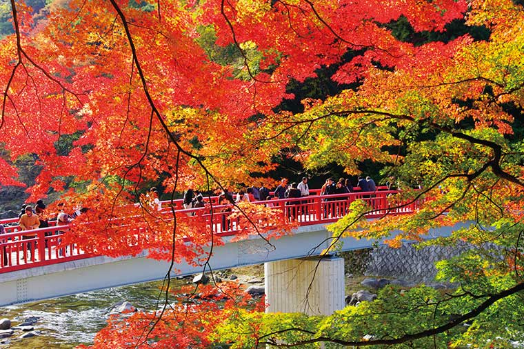 美肌の湯 昼神温泉と錦秋の香嵐渓