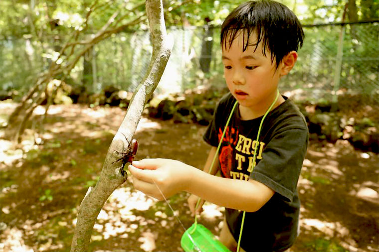 夏の大冒険！カブトムシ×夏いちご狩り＆ほうとうとリニア見学