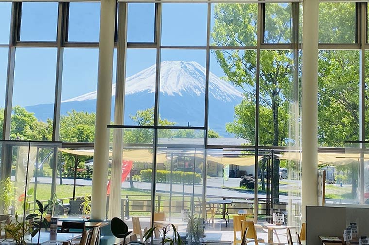はとバスで行く！朝霧高原ランチビュッフェ＆色彩鮮やかな富士虹の花まつりとヒンヤリ洞窟体験