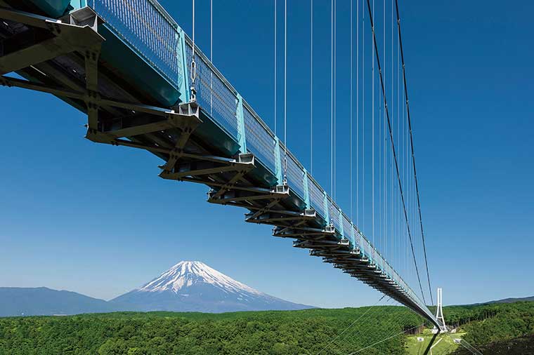 三島いいとこ旅♪三島スカイウォーク・三嶋大社といちご狩り食べ放題