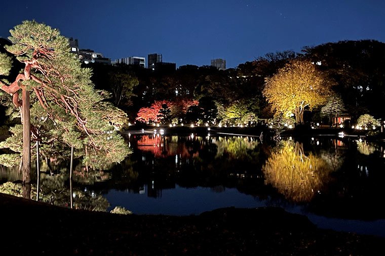 庭紅葉の六義園 夜間特別観賞と大人気の海鮮バイキングのディナー