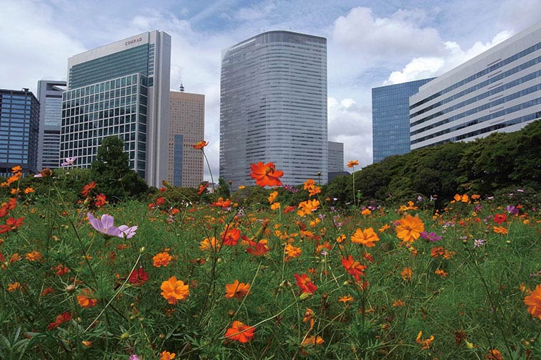 迎賓館赤坂離宮 本館内部見学と浜離宮恩賜庭園 季節の花観賞（品川プリンスホテルの季節御膳）
