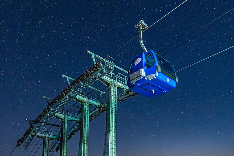 越後絶景名所めぐり　高山植物の宝庫ロープウェイ空中散歩×苗場HOSHIZORA×日本三大峡谷　清津峡