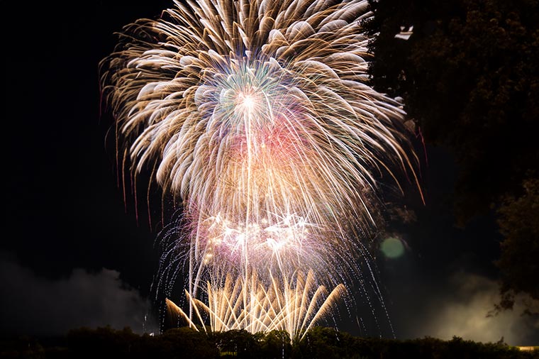 はとバスで行く！ 特別エリアから鑑賞♪「メッツァの北欧花火」とムーミンバレーパーク