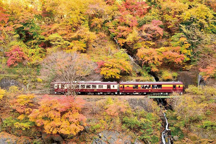 秋色のわたらせ渓谷鐵道×足尾銅山ダブルトロッコ観光