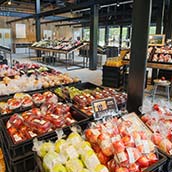 くらすわの森・おすすめポイント用(SS)//