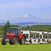 マザー牧場 マザーファームツアー(小)/