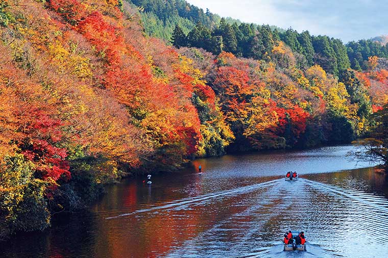 湖上の紅葉亀山湖クルーズ・鋸山地獄のぞき＆はとバス限定房総こぼれ海鮮丼