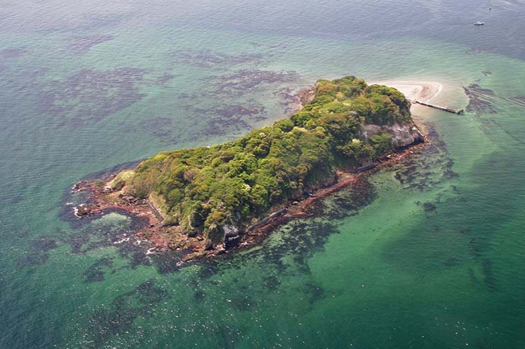 無人島「猿島」とＹＯＫＯＳＵＫＡ軍港めぐり