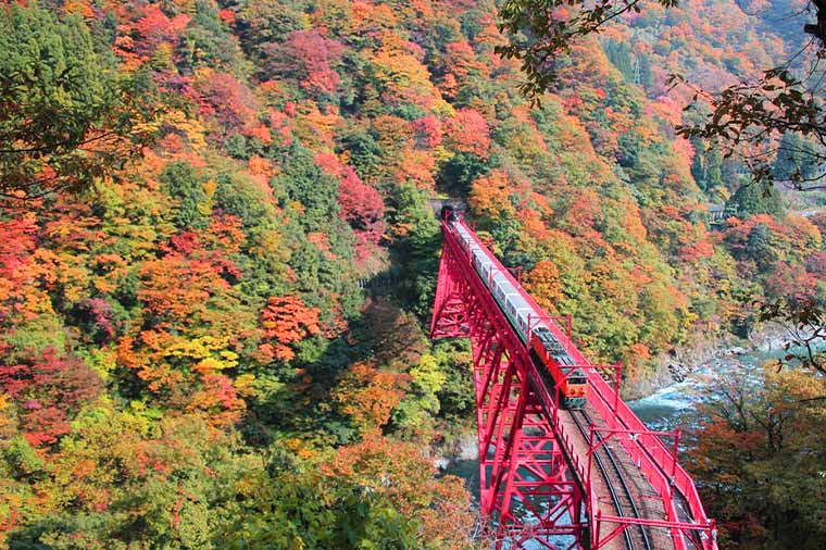 宇奈月温泉に泊まる秋色の立山黒部アルペンルートと黒部峡谷鉄道／10月発