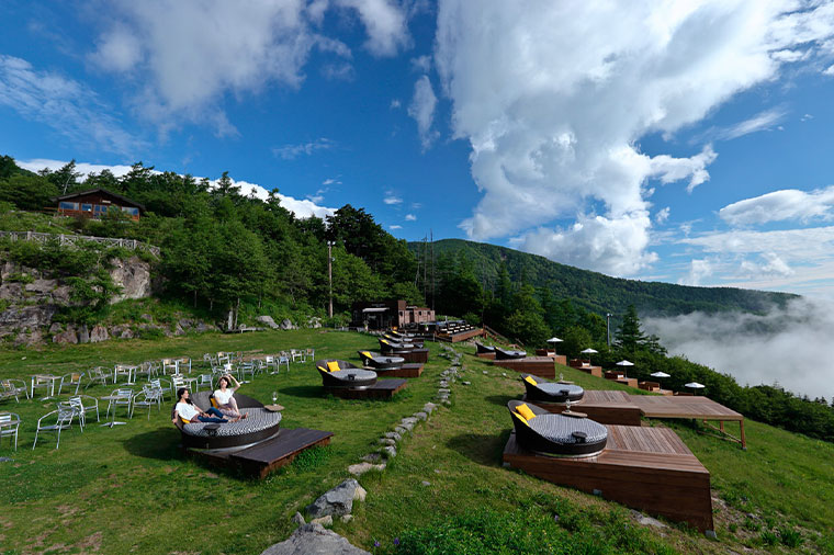 リフトで行く！清里テラスとさくらんぼ狩り食べ放題