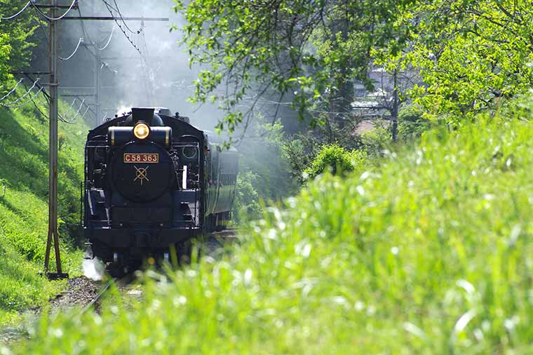 秩父満喫旅♪秩父鉄道SLパレオエクスプレスと秩父神社