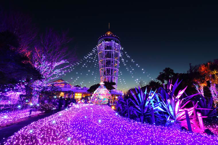 関東三大イルミネーション！江の島を光で彩る「湘南の宝石」