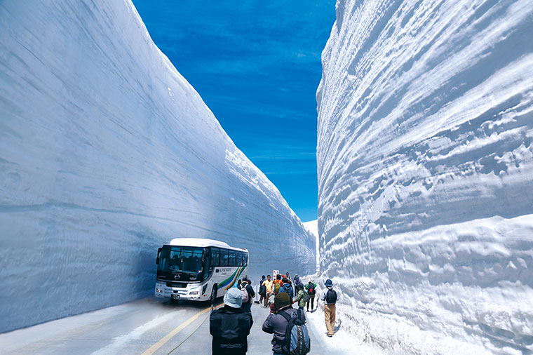 【6/23まで】立山黒部アルペンルート雪の大谷ウォークと新緑の上高地