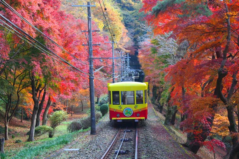 心和らぐ東京の奥座敷「うかい鳥山」と秋の高尾山