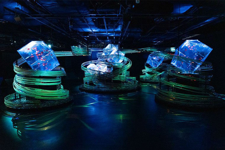 唯一無二の幻想世界！アートアクアリウム美術館とヒルトン東京ベイ季節のデザートビュッフェ