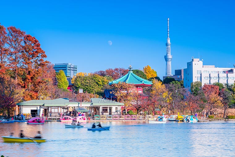 自然溢れる都内の紅葉名所と東京国立博物館で秋の芸術鑑賞（東京ドームホテルのランチブッフェ）