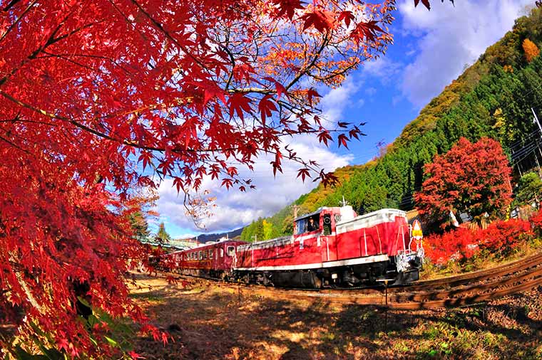 秋色のわたらせ渓谷鐵道×足尾銅山ダブルトロッコ観光