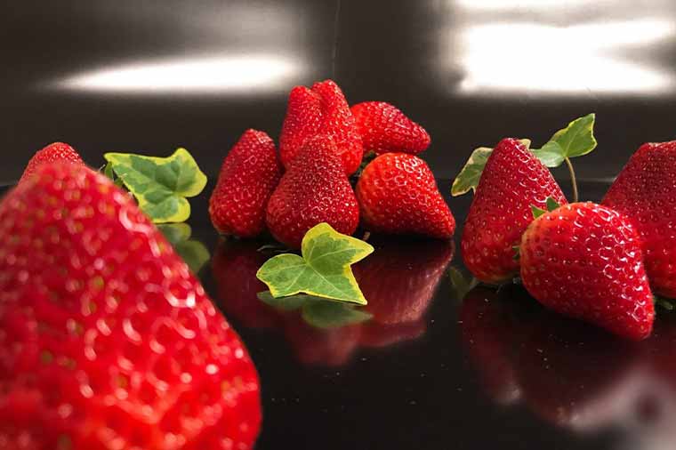 はとバスで行く！希少な深紅のいちご“ロイヤルクイーン”食べ放題とあしかがフラワーパーク「光の花の庭」
