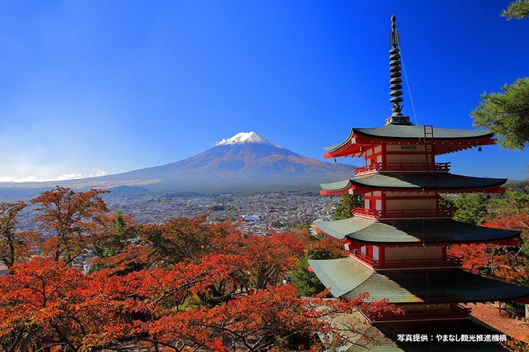 【英語ツアー】富士山と新倉山浅間神社（Mt.Fuji＆Arakura Sengen Shrine)／12月まで