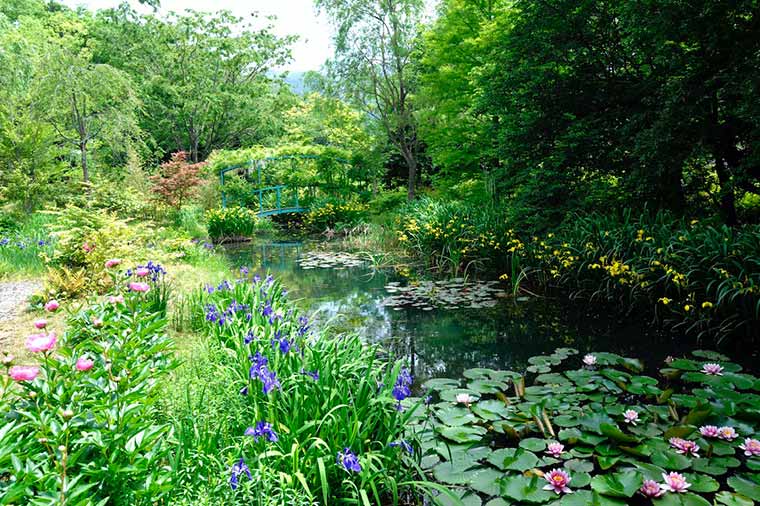 【トイレ付バス・レガートで行く】名画のような睡蓮の池庭 箱根ラリック美術館＆ヒルトン小田原ランチビュッフェ