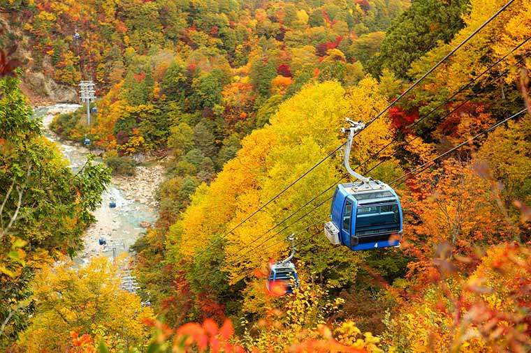紅葉の空中散歩　日本最長“苗場ドラゴンドラ”と水鏡の絶景“清津峡渓谷トンネル”
